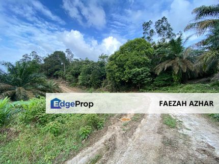 TANAH PERTANIAN 2.75 EKAR @ KG SAYANG, SEDILI UNTUK DIJUAL, Johor, Kota Tinggi