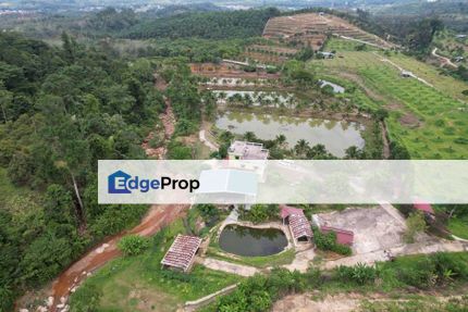 Agro Farm 9.6 Acres Karak, Bentong., Pahang, Karak