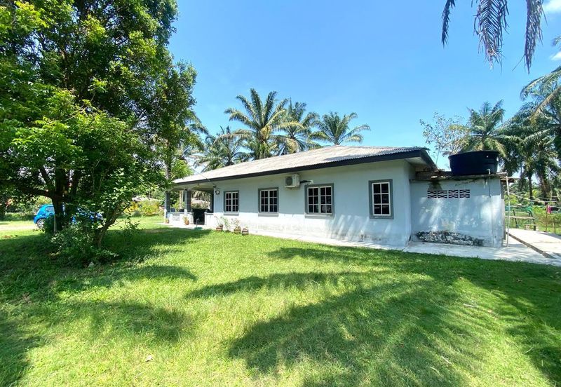 Agriculture Land with Bungalow Serenia City Sepang