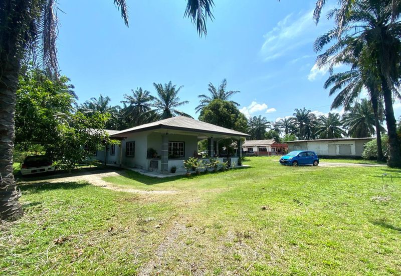 Agriculture Land with Bungalow Serenia City Sepang