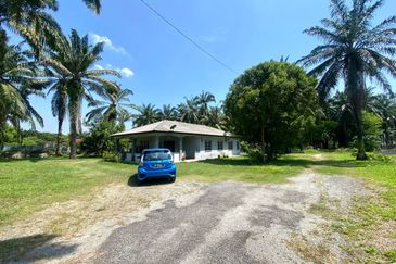 Agriculture Land with Bungalow Serenia City Sepang