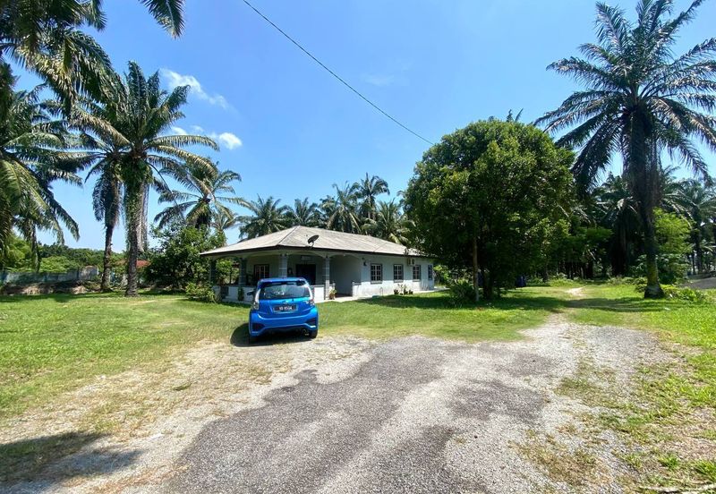 Agriculture Land with Bungalow Serenia City Sepang