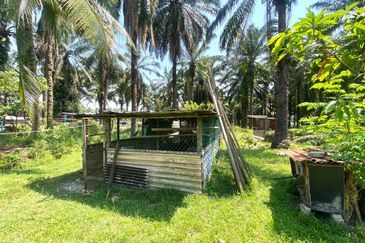 Agriculture Land with Bungalow Serenia City Sepang