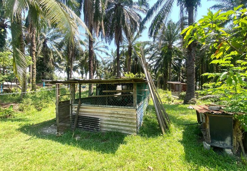 Agriculture Land with Bungalow Serenia City Sepang