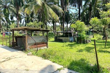 Agriculture Land with Bungalow Serenia City Sepang