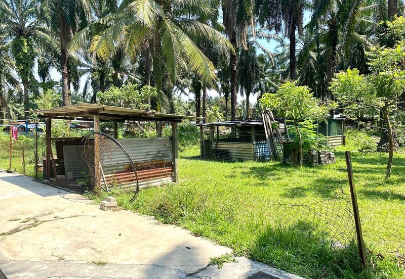 Agriculture Land with Bungalow Serenia City Sepang