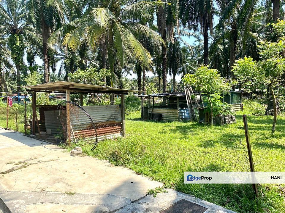 Agriculture Land with Bungalow Serenia City Sepang, Selangor, Sepang