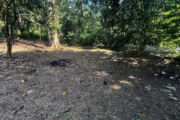 1 Ekar Tanah Pertanian Bukit Lagong Selayang – Ada Pokok Durian & Tepi Sungai | RM980K Sahaja