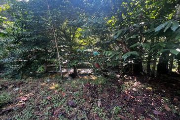 1 Ekar Tanah Pertanian Bukit Lagong Selayang – Ada Pokok Durian & Tepi Sungai | RM980K Sahaja