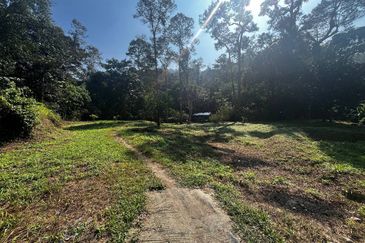 1 Ekar Tanah Pertanian Bukit Lagong Selayang – Ada Pokok Durian & Tepi Sungai | RM980K Sahaja