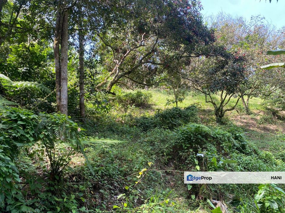 1.036 Acre Land @ Bukit Lagong, Batu Caves, Selangor, Gombak