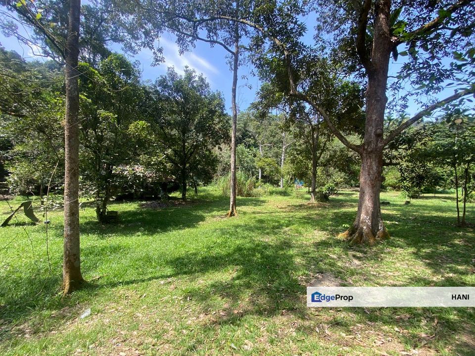 1.036 Acre Land @ Bukit Lagong, Batu Caves, Selangor, Gombak