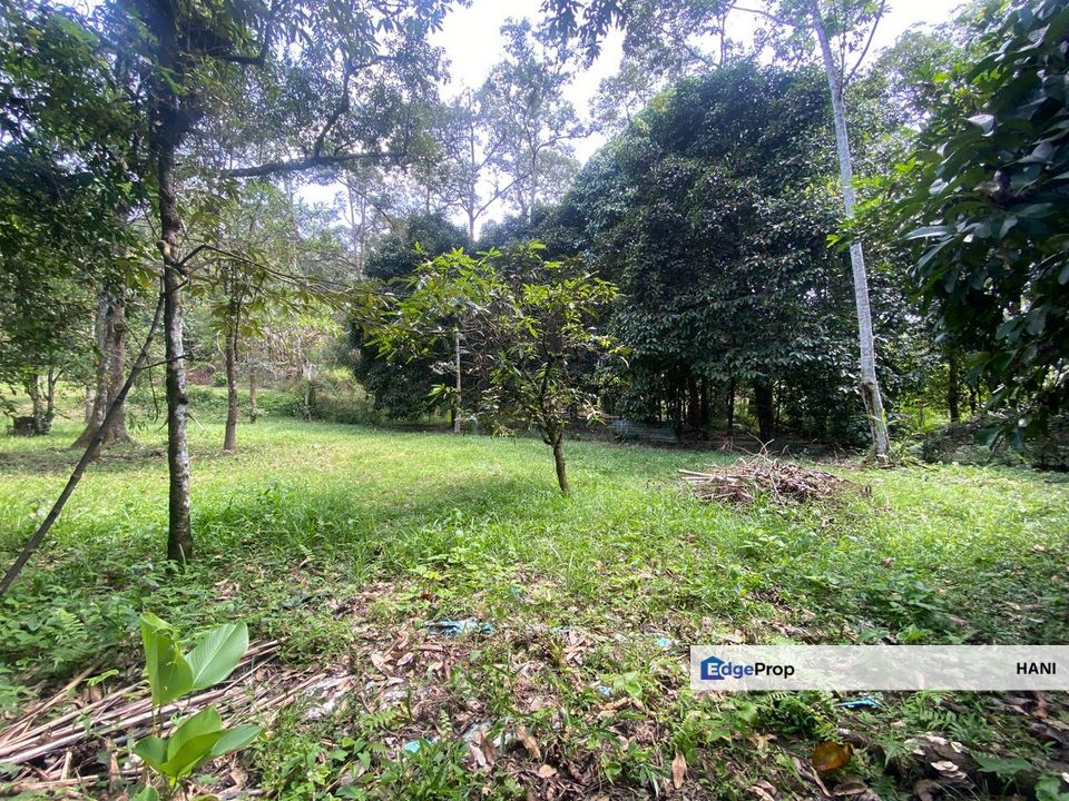 1.036 Acre Land @ Bukit Lagong, Batu Caves, Selangor, Gombak