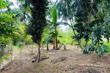 KGSAAS Golf Club, Seksyen 13