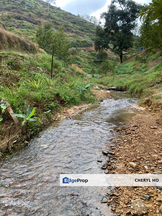 Durian Orchard for sale at Raub, Pahang, Pahang, Raub