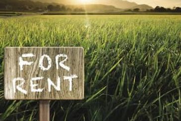 Industrial land for sale at Elmina industrial park 