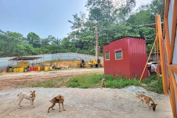 Hulu Selangor, Ulu Yam, Batang Kali, Selangor, Industrial, Industrial land for sale 