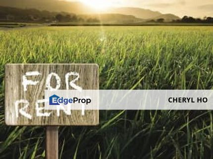 Agricultural land for rent at Sijangkang, Telok Panglima Garang , Selangor, Telok Panglima Garang