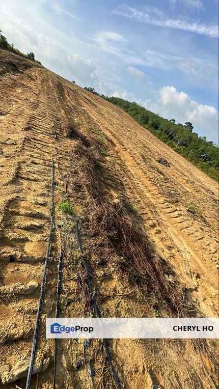 Bukit Katil, Melaka, Land, Sale, Agricultural, Melaka, Melaka Raya