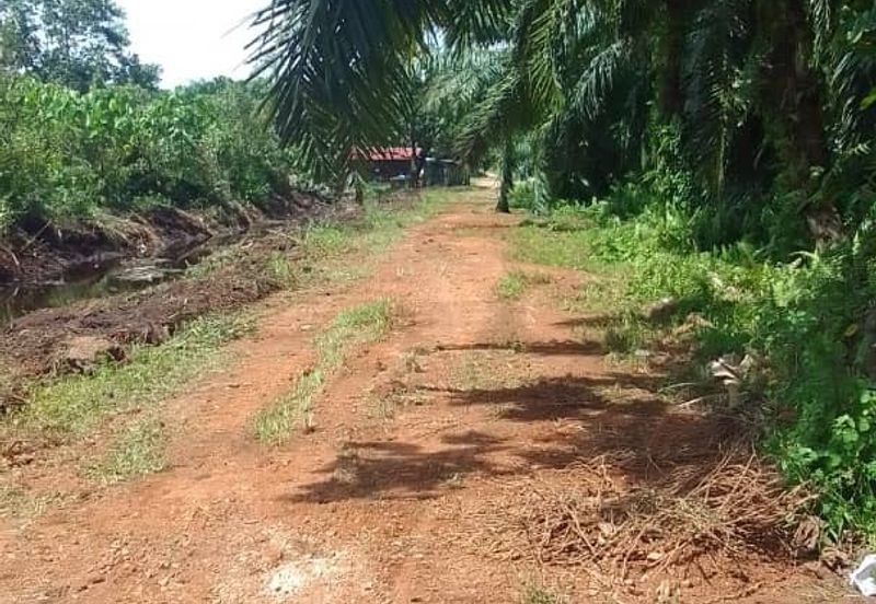 Kampung Sri Cheeding