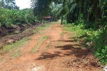 Kampung Sri Cheeding