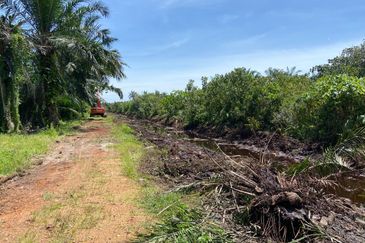 Kampung Sri Cheeding