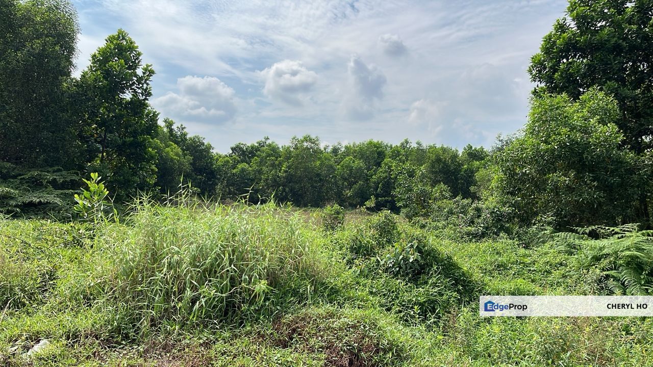 Jalan Semenyih, Semenyih, Kajang, Bandar Teknology Kajang, Selangor, Land, Sale , Selangor, Hulu Langat