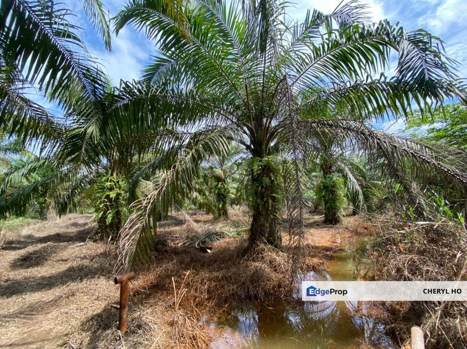 Johan Setia, Kampung Johan Setia, Klang, KSL Esplanade mall, Land, Sale , Selangor, Klang