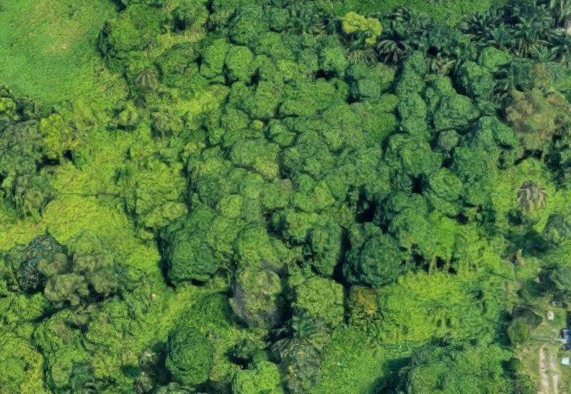 Petaling Jaya Industrial