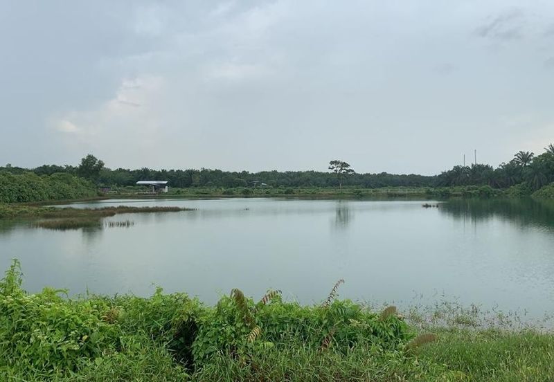 Sepang, Tanjung sepat, sungai pelek, Kampung baru sepang, kampung tanjung mas, Agricultural, Lake land 