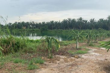 Sepang, Tanjung sepat, sungai pelek, Kampung baru sepang, kampung tanjung mas, Agricultural, Lake land 