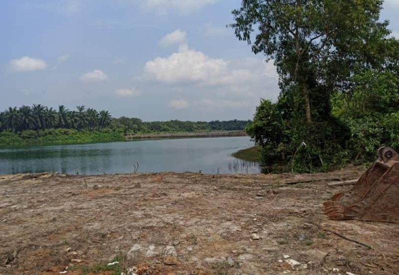 Sepang, Tanjung sepat, sungai pelek, Kampung baru sepang, kampung tanjung mas, Agricultural, Lake land 