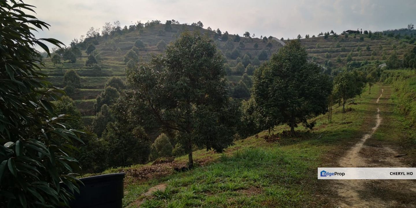 Kuala Pilah, Negeri Sembilan, Durian Orchard, Agricultural Land, For sale, Negeri Sembilan, Kuala Pilah