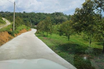 Kuala Pilah, Negeri Sembilan, Durian Orchard, Agricultural Land, For sale