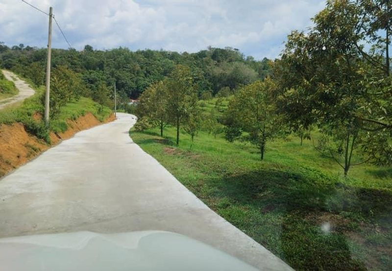 Kuala Pilah, Negeri Sembilan, Durian Orchard, Agricultural Land, For sale