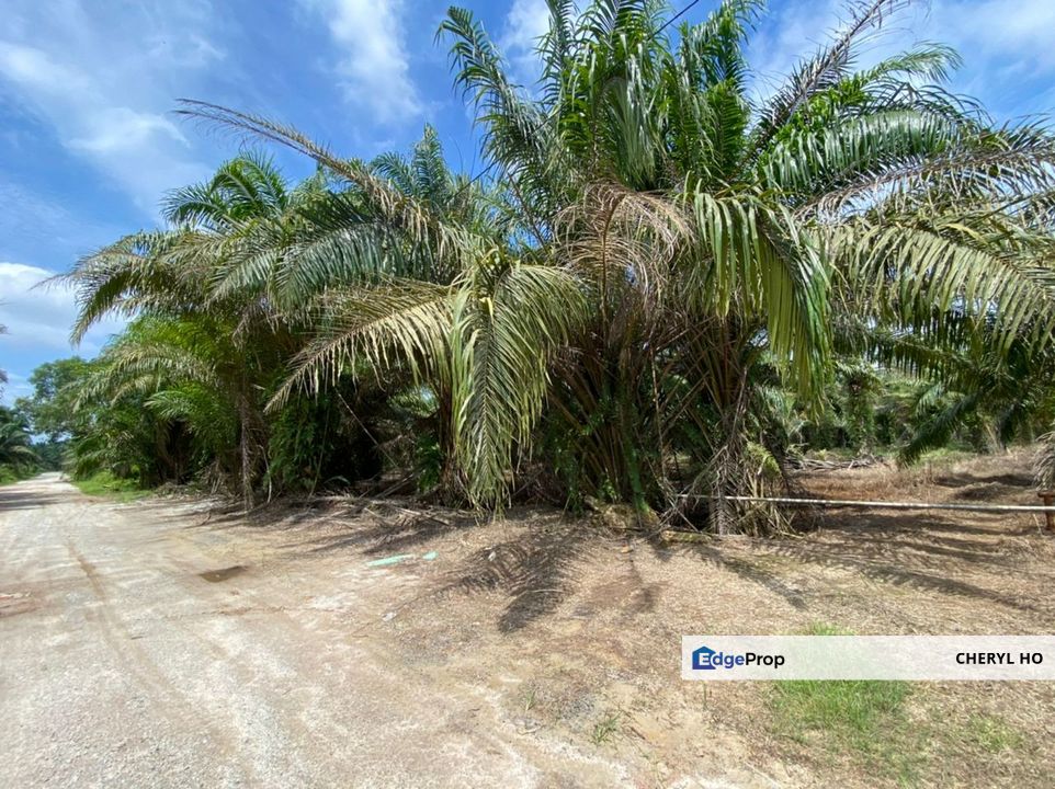 Kapar, Klang, Jalan Bukit cherakah, Meru, Kampung Bukit Kapar, Agricultural, Land, Residential , Selangor, Kapar 