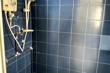 Lintang Sungai Ara 1