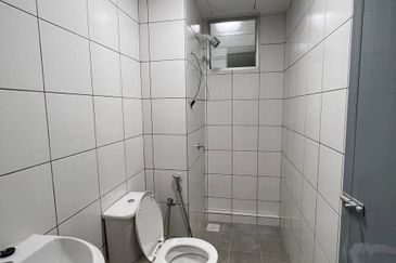 The Stone, Paya Terubong