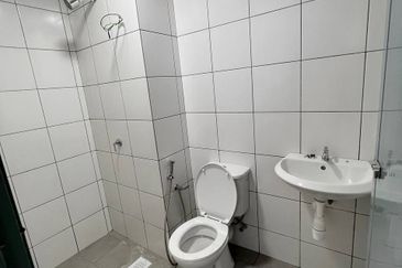 The Stone, Paya Terubong