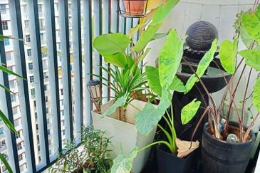 PR1MA Lakefront Homes