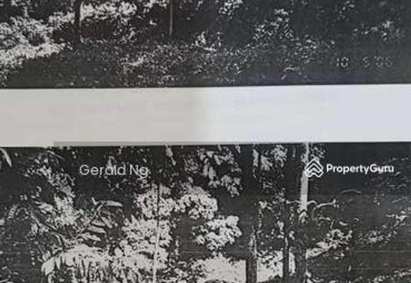 Bayan Lepas Agriculture land 400k Penang