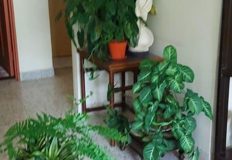 End Lot Semi D @ Jalan H