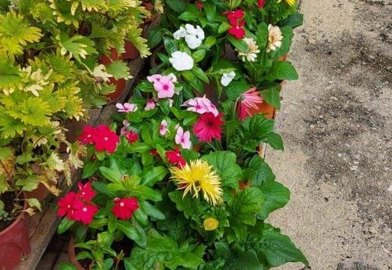 End Lot Semi D @ Jalan H