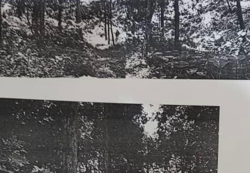 Penang Bayan Lepas 9.2 Acres Agriculture Land at Teluk Kumbar