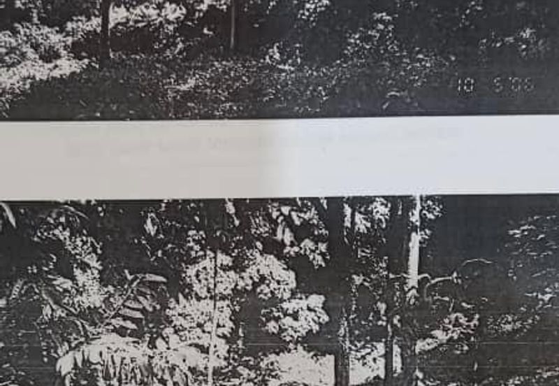 Penang Bayan Lepas 9.2 Acres Agriculture Land at Teluk Kumbar