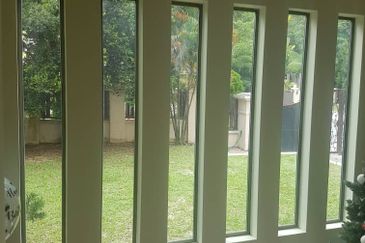 Anggerik Doritis @ Kota Kemuning