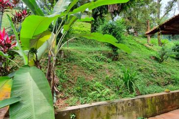 Damansara Heights (Bukit Damansara)