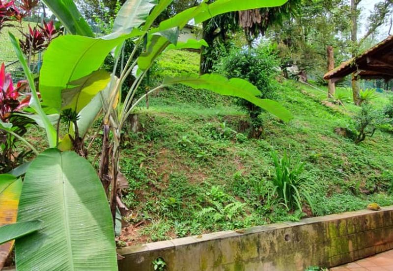 Damansara Heights (Bukit Damansara)