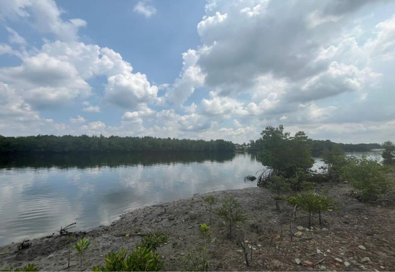 Johor Tanjung Kupang Heavy Industrial Land 20 Acres Leasehold 2111 for Sale