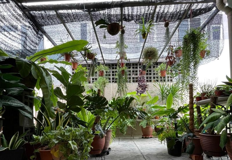 SS 21, Damansara Utama